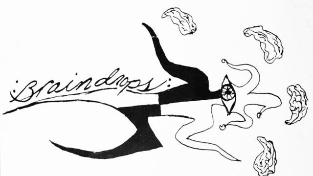 Braindrops - Crucifix (1989, Art Punk / Comedy / Proto-Riot Grrrl)