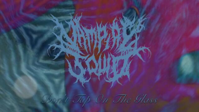 Vampire Squid - "Don't Tap On The Glass" (Single 2019)