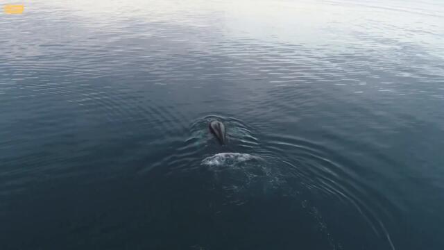 10 Minute Soothing Guitar Music: Instrumental Music, Calming Music, Soft Music, Relaxing Music 2022