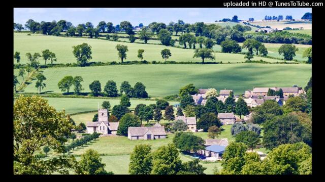 Netoband - Swamp, feat. Master Winwood (Live 2001, Cheltenham Jazz Festival, UK, May 7)