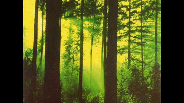 Thy Serpent   Flowers Of Witchery Abloom