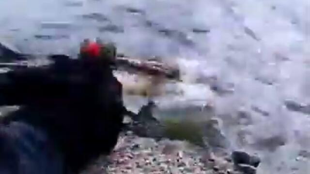 Смях с животни.