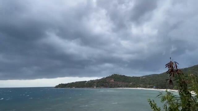 The Tribe (Official Video)