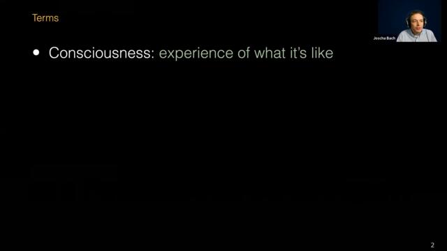 Virtualism as a Perspective on Consciousness by Joscha Bach