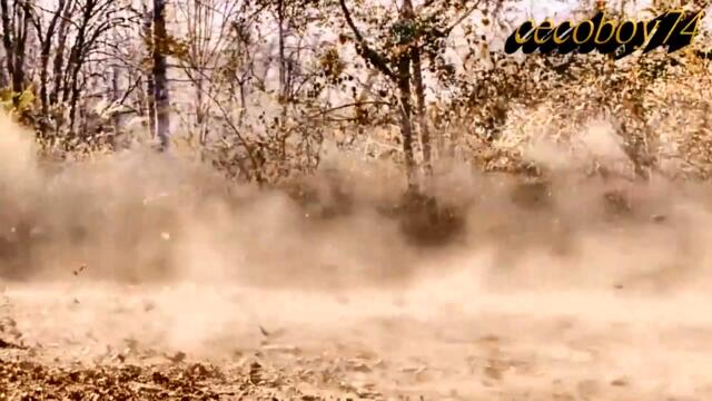 Πάολα Φωκά - Αινίγματα - загадки