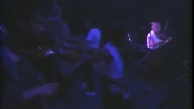 Dexy's Midnight Runners - Come On Eileen (Live)