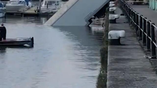 Lorry falls into Bristol harbour - having a bad day? #Shorts