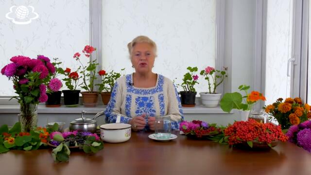 ГОРОБИНА. (частина 2) Рецепти