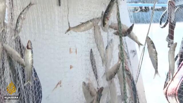 France-UK fishing row: Paris delays sanctions as talks continue