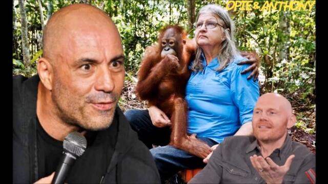 Joe Rogan vs Ape Expert Caller (w/ Bill Burr)