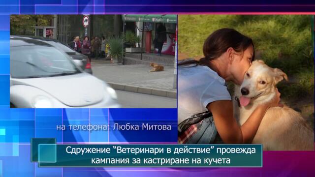 Сдружение "Ветеринари в действие" провежда кампания за кастриране на кучета