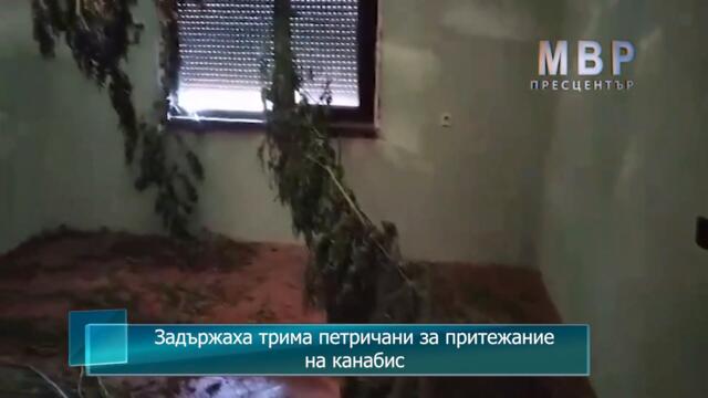 Задържаха трима петричани за притежание на канабис