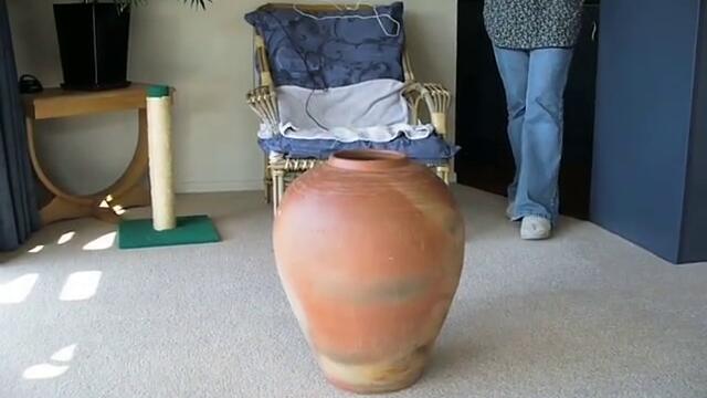 Fat Cat in pot. The escape sequence