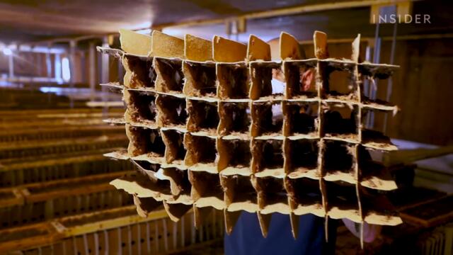 How North America's Largest Cricket Farm Harvests 50 Million A Week | Big Business