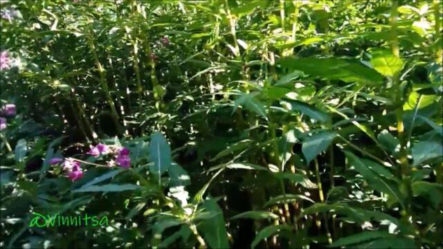 Добрый Вечер!   ОКАЗАЛОСЬ, ЧТО НЕ ТАМ СЧАСТЬЕ СВОЁ ИСКАЛ 💘👸🏻