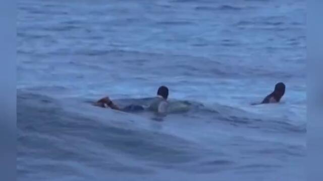 Surfer Comes Way Too Close to Shark in Puerto Rico #shorts