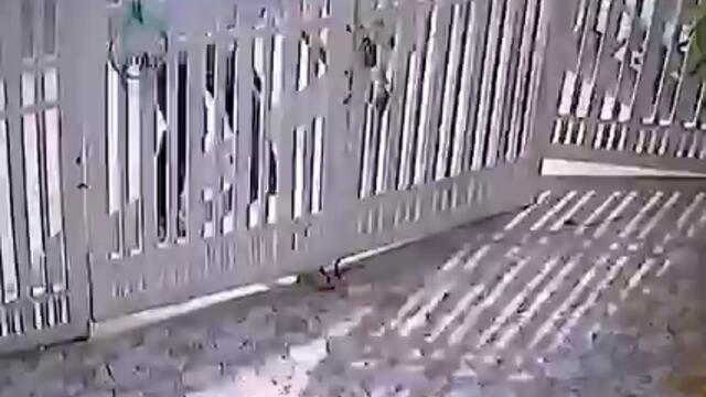 Смях с опити за кражби