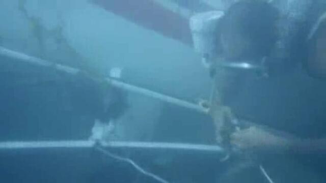 [BG AUDIO] Великият Алигатор, част 3