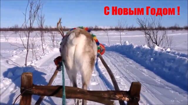 С Новым Годом! 2022-ой БУДЕТ САМЫМ ЛУЧШИМ ГОДОМ 🏆