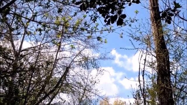 Євген Дятлов  -  НIЧ ЯКА МIСЯЧНА