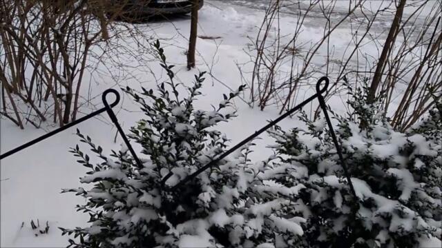 ЗИМНИЙ ЭТЮД