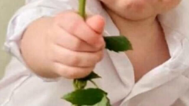 Сашо тигъра  Яко Гайда Кючек-NEW 2022г.