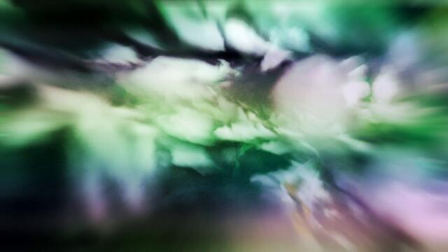 The HAARP Machine - Bleak (Official Visualiser)