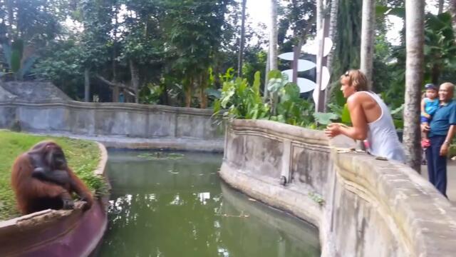 Мой опыт заработка на видео контенте через Rumble