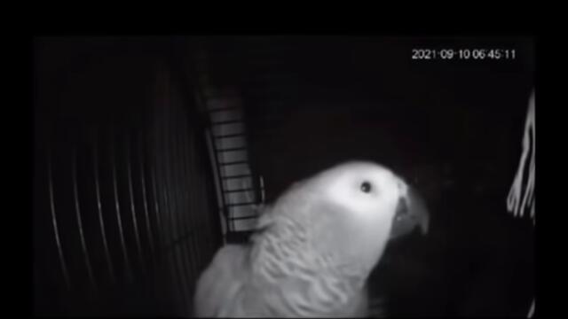 He laughed at his own joke 🤣