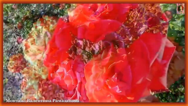 РОЗЫ В ФЕВРАЛЕ   Поздравление с февральским днем рождения