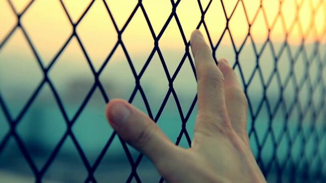 The Stoic -  What Does Stoicism Really Look Like?