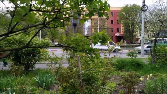 ТАК ХОЧЕТСЯ ТЮЛЬПАНОВ в ФЕВРАЛЕ