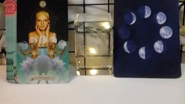 Full Moon Tarot Oracle Reading | Muse Tarot Moonology Oracle | #shorts #youtubeshorts Feb 16 2022