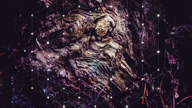 Nothing is Consciousless