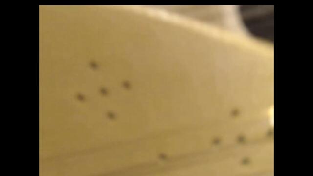 'Aziz Joon' عزیز جون (traditional Iranian / Persian song, AKA 'Seda Kon') 🇮🇷