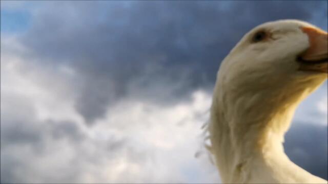 Duck's Spring, Day 27. Quick walk right before the storm.