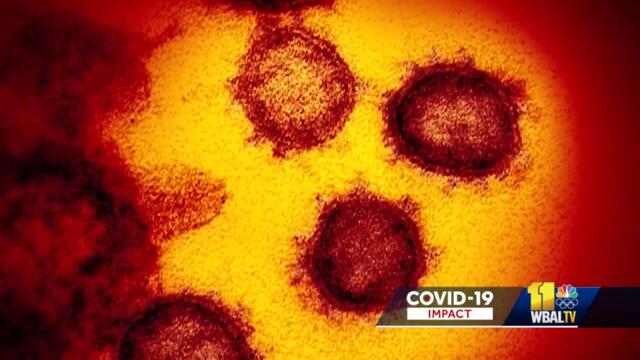 Study: COVID-19 survivors have more risk of mental health issues