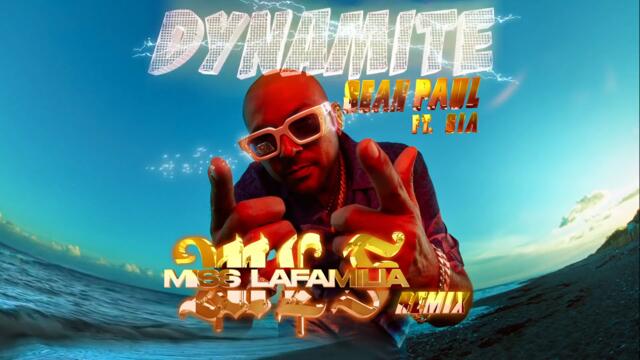 Sean Paul - Dynamite (Banx N Ranx Remix / Visualiser) ft. Sia, Miss Lafamilia