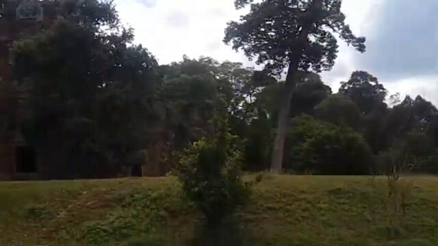 Jaaz Upp - In Tropics