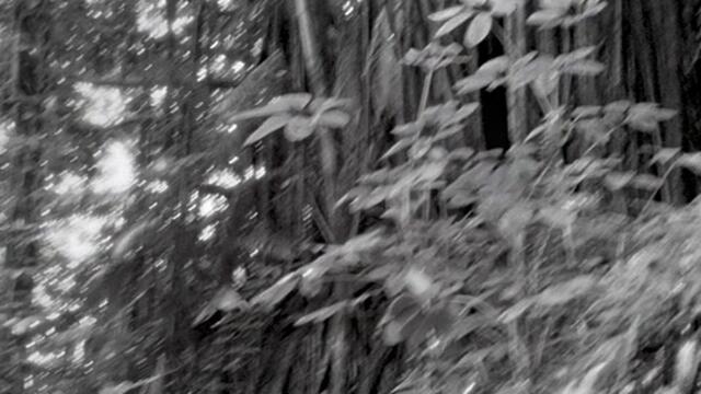 Знам какво направи миналото лято I Know What You Did Last Summer   (1997) Бг Аудио Част 1