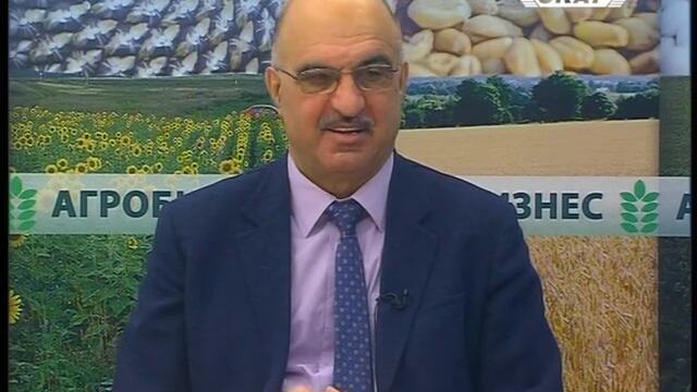 Как го правят гърците?