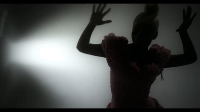 TSVETELINA YANEVA - PRAZNA STAYA _ Цветелина Янева - Празна стая _ Official video 2010