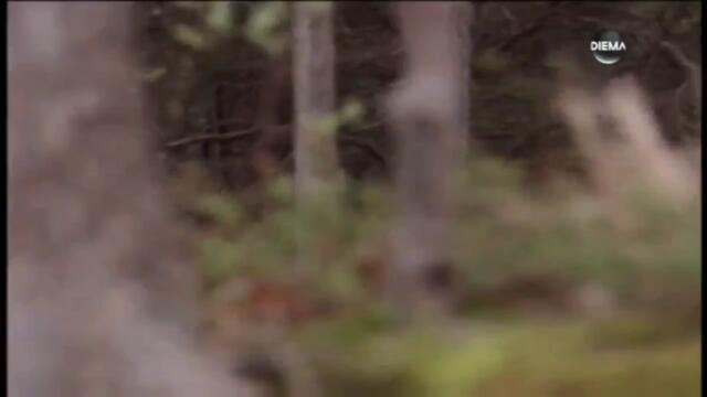 Уокър, тексаският рейнджър (1999) - сезон 7, епизод 1 (бг аудио) (част 2) TV Rip DIEMA 23.01.2022