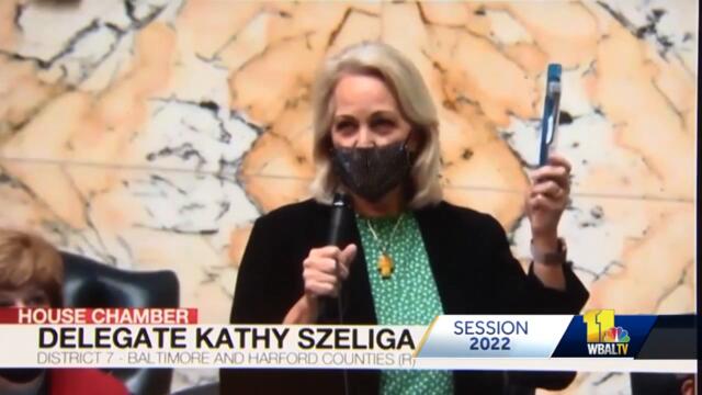 Senate president says some of Hogan's bills have chance to pass