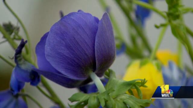 Florist in Baltimore helps homeland of Ukraine