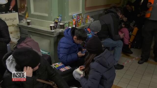 Some Refugees Fleeing Ukraine Are Taking Their Pets With Them