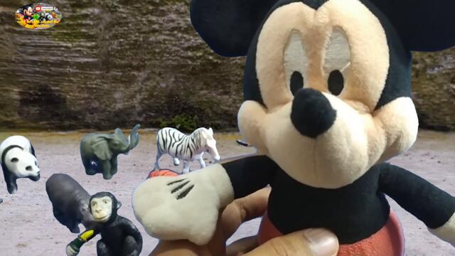 Mickey mouse keluarga binantang menjadi sahabat baru singa macan harimau panda gajah badak bebek