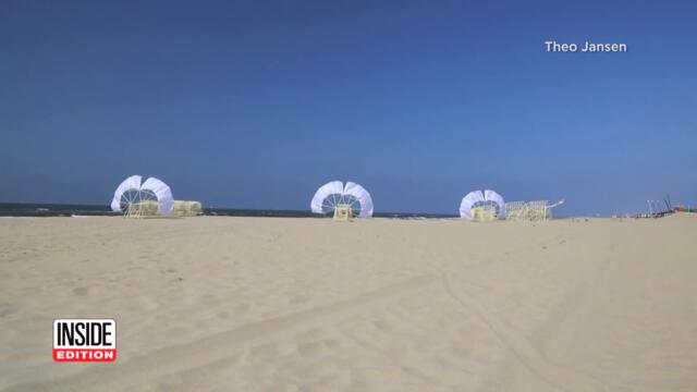 How Are These Art Sculptures Crawling on the Beach?