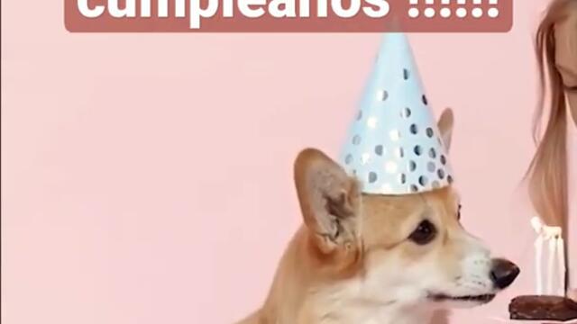 Cumpleaños con miedo