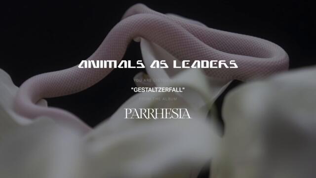 ANIMALS AS LEADERS - Gestaltzerfall